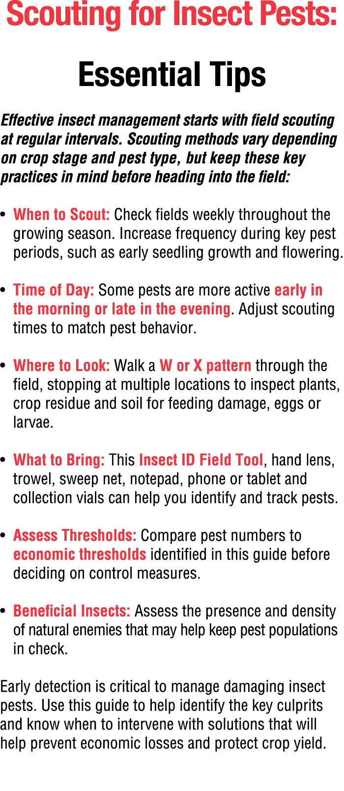 Scouting for Insect Pests: Essential Tips Effective insect management starts with field scouting at regular intervals...