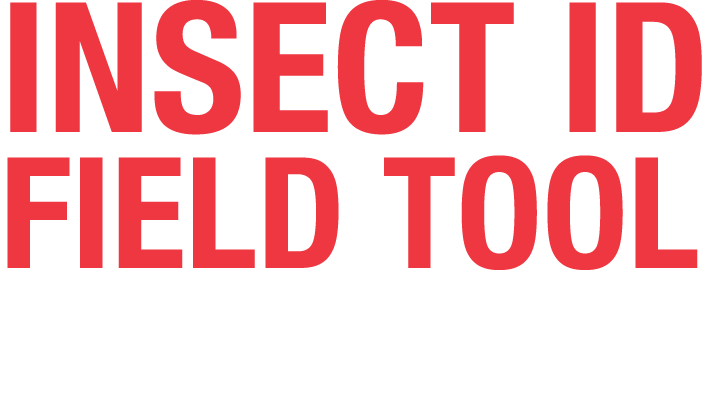 Insect ID FIELD TOOL