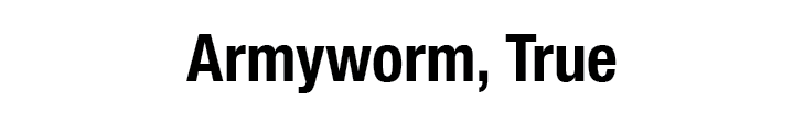 Armyworm, True