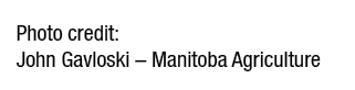 Photo credit: John Gavloski – Manitoba Agriculture