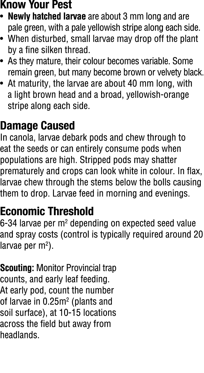 Know Your Pest​ • Newly hatched larvae are about 3 mm long and are pale green, with a pale yellowish stripe along eac...