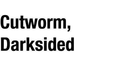 Cutworm, Darksided