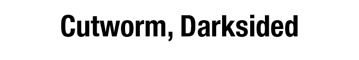 Cutworm, Darksided