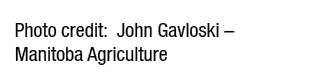 Photo credit: John Gavloski – Manitoba Agriculture