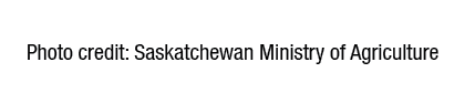 Photo credit: Saskatchewan Ministry of Agriculture