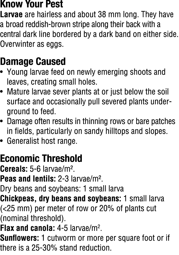 Know Your Pest​ Larvae are hairless and about 38 mm long. They have a broad reddish brown stripe along their back wit...