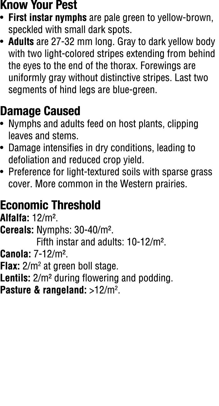 Know Your Pest​ • First instar nymphs are pale green to yellow brown, speckled with small dark spots. • Adults are 27...