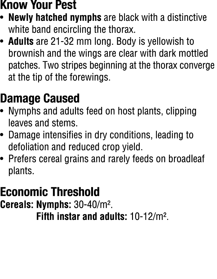 Know Your Pest​ • Newly hatched nymphs are black with a distinctive white band encircling the thorax. • Adults are 21...