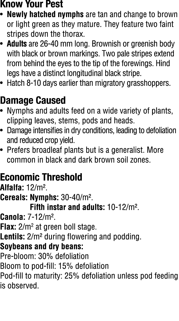 Know Your Pest​ • Newly hatched nymphs are tan and change to brown or light green as they mature. They feature two fa...