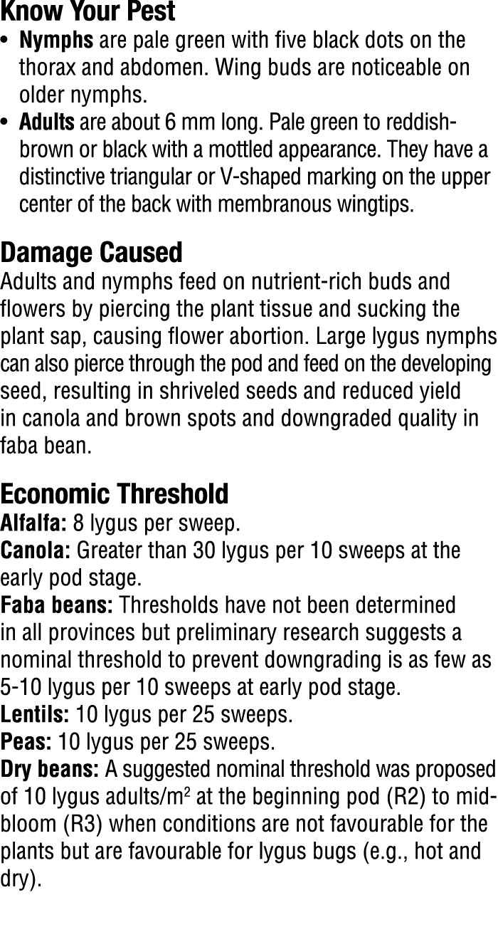 Know Your Pest​ • Nymphs are pale green with five black dots on the thorax and abdomen. Wing buds are noticeable on o...